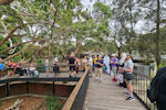 Zoo Walk, Taronga Zoo 2026